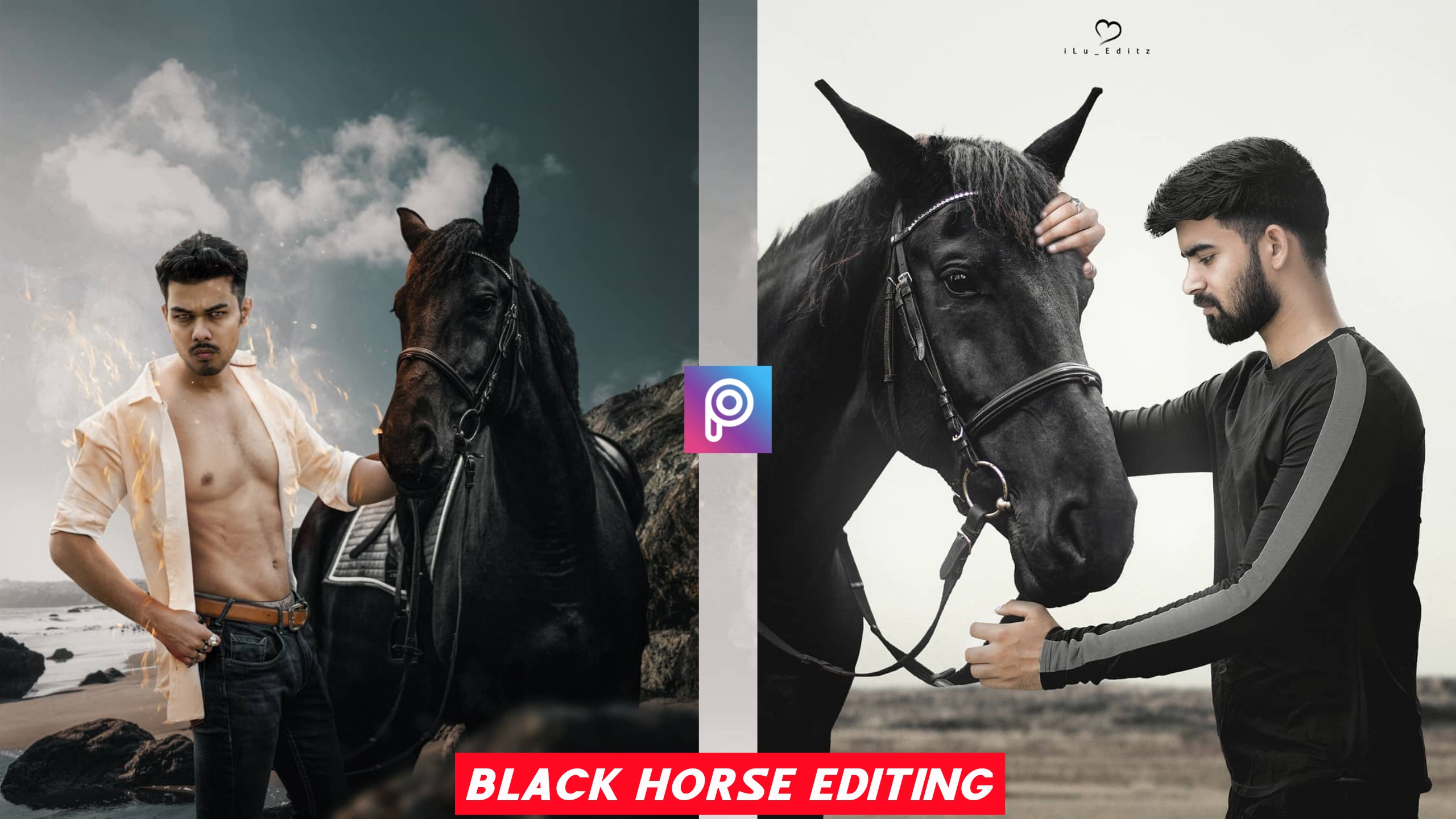 🔥Black Horse Photo Editing PNG & Background Download (HD)